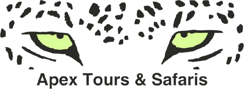 Apex Tours & Safaris